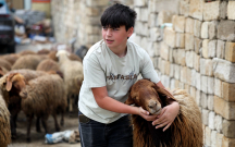 Günün qurbanları...