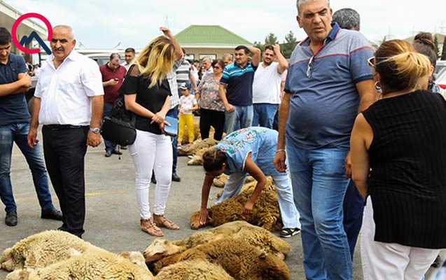 Bu günün qurbanları...