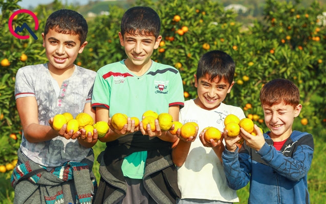“Sizə qurbandır can, talış balaları!”