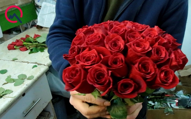 Bu gün nə qədər xərclədiz?