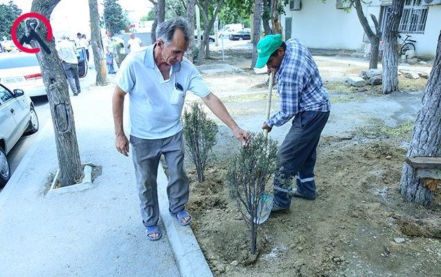 Nazirlik Bakıdakı bu ərazini nəzarətə götürdü