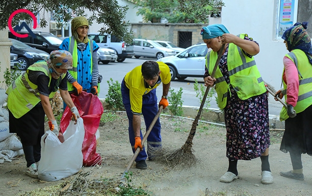 Nərimanovda ağaclara ziyan vuran 800 manat cərimələndi