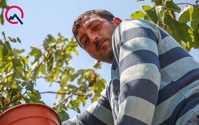 Əzizi üçün əncir puluyla ev tikən Əziz...