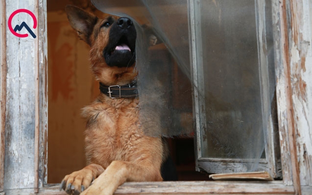 İcra başçısının məhkəməyə verdiyi həyətdən