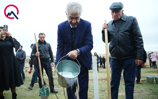 Deputatlar da ağac əkdi