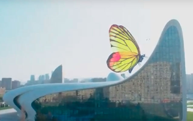 Bu videolar Novruz bayramına görə hazırlanıbmış...