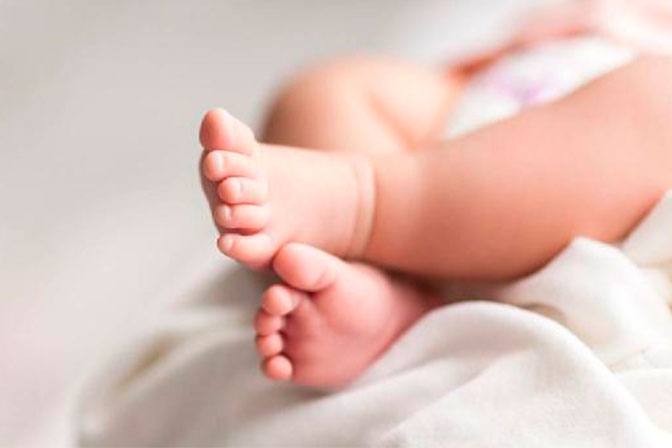 sekide-1-yasli-korpe-qefil-oldu