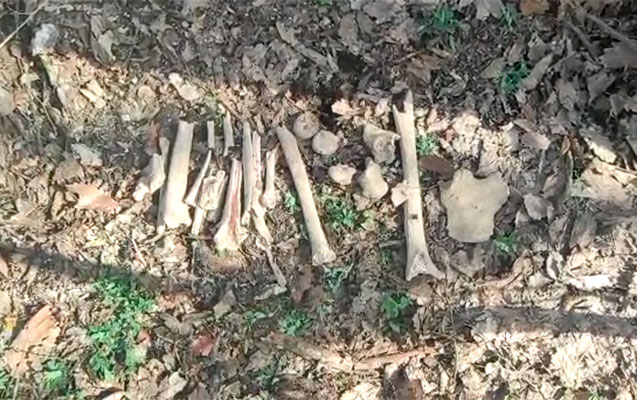 Fərruxda daha bir neçə azərbaycanlının meyitlərinin qalıqları tapıldı