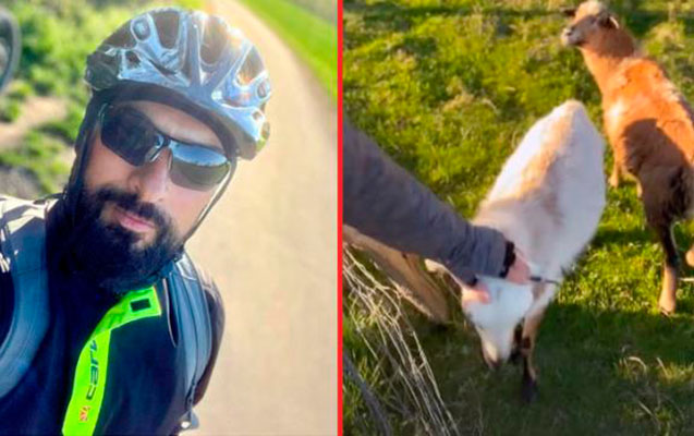 Tarkanın çəpişlərlə görüntüləri diqqət çəkdi