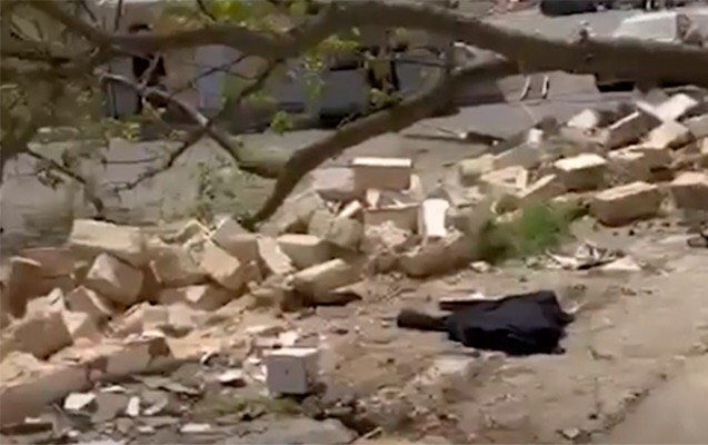 Nəbatat bağında ağaclar kəsilib?