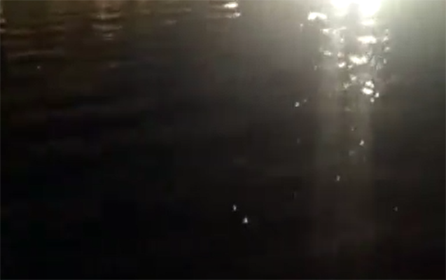 Gəncədə həyətləri su basdı, küçələr keçilməz oldu