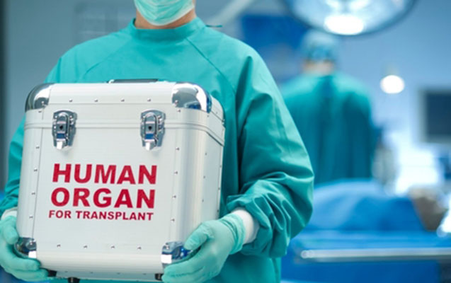 bas-nazirden-sumuk-iliyi-transplantasiyasi-ile-bagli
