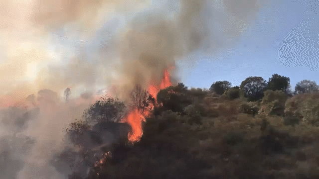 Ermənilər Laçında bu dəfə meşəni yandırdı