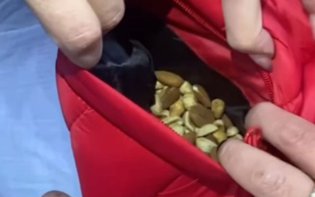 Türkiyəyə gödəkçəsinin cibində qoz-fındıq göndərdi