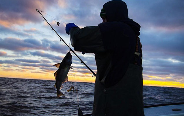 baliq-ve-diger-su-bioresurslarinin-ovu-ucun-kvota-bolgusu-teqsdiqlendi