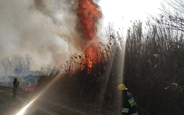İsmayıllıda qəsdən yanğın törədilib