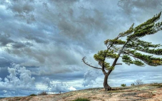 kulekle-bagli-novbeti