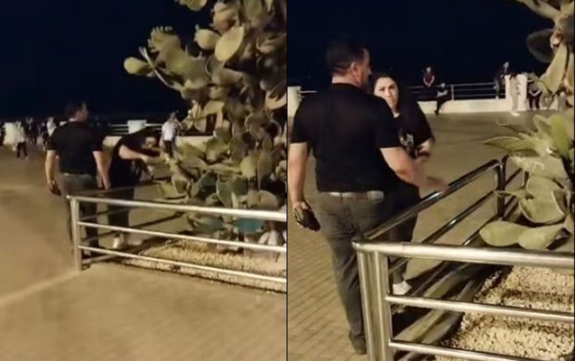 Bulvarda kaktusa ziyan vurdular