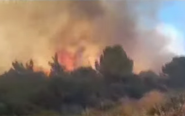 İzmirdə meşə yanır