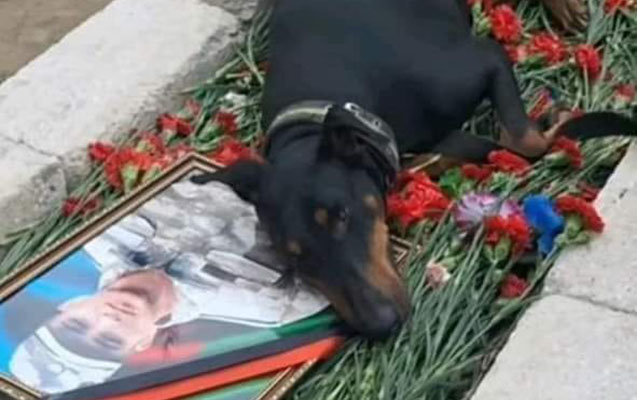 “Ramil yuxuda dedi ki, iti gətir, onunla sağollaşmalıyam”