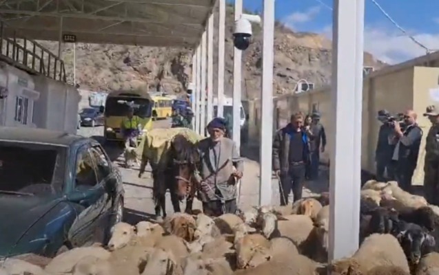 Qarabağ ermənisi qoyunlarını da sərhəddən keçirdi