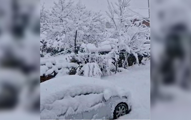 Lənkəran belə ağardı