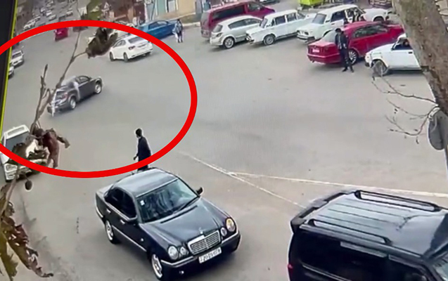 Toy karvanlarına qoşulub “avtoş”luq etdilər