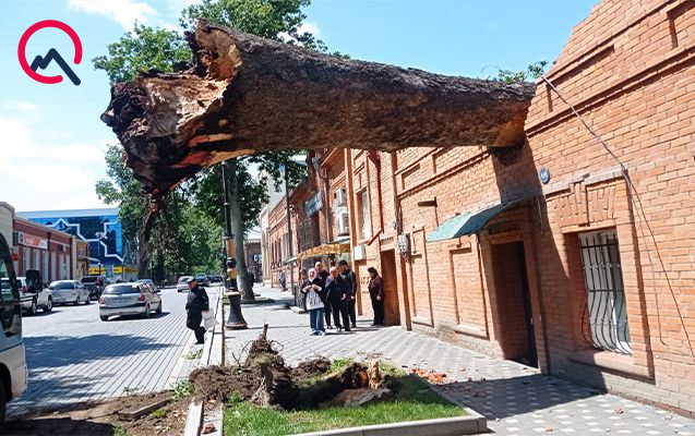 Güclü külək ağacı evin üzərinə aşırdı