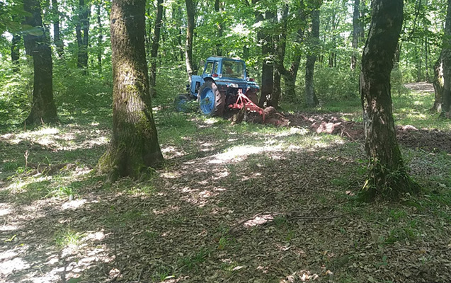 Hirkan Milli Parkında tədbir keçirildi