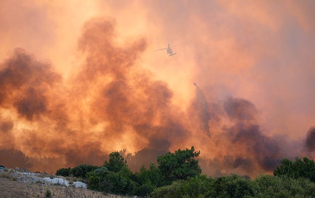 İzmirdə meşə yanır
