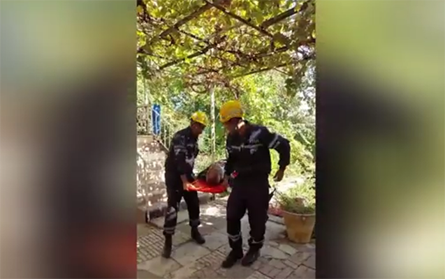 Ağacdan yıxılaraq köməksiz vəziyyətdə qaldı