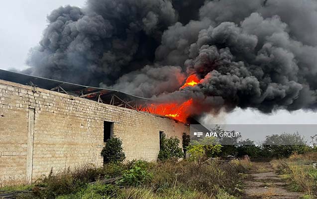 Tovuzda şərab zavodu yandı