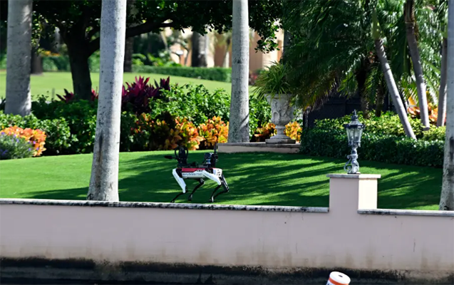 Trampın iqamətgahını robot it qoruyur