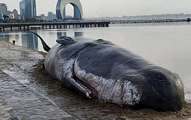 Bakı bulvarında görüntülənən nədir?