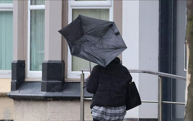 bakida-guclu-kulek-esecek