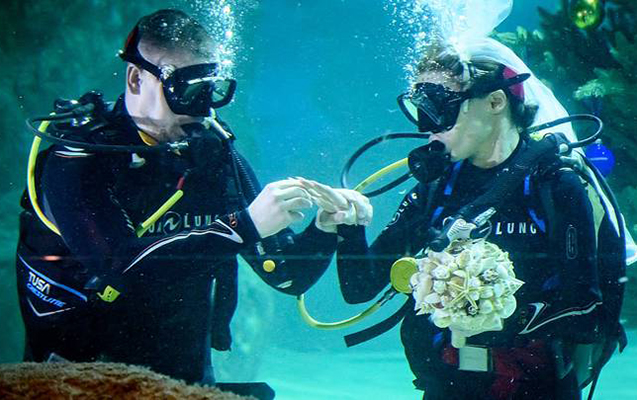 Bu dəfə evlənmək üçün suya daldılar...