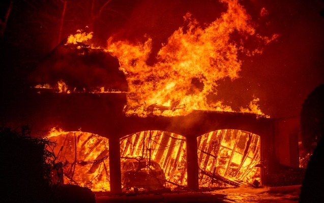 Kaliforniyada dəhşət davam edir...