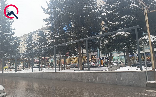 Əhmədlidə ağacları əhatəyə alıb obyekt tikirlər