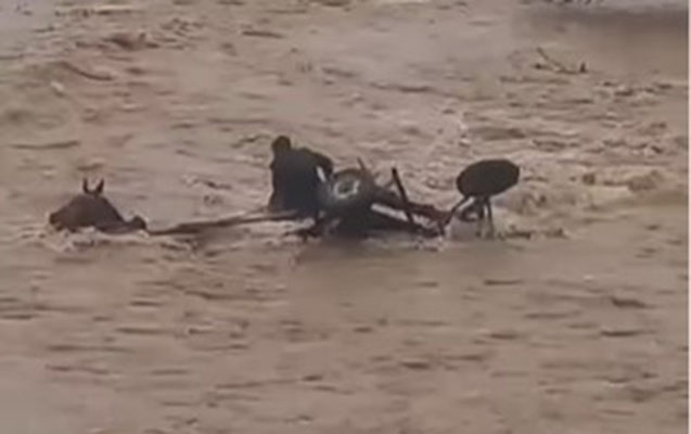 Özü ölümdən döndü, atını sel apardı