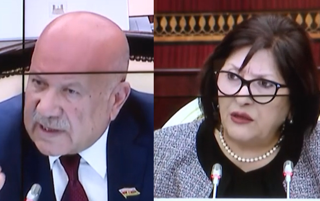 Sahibə Qafarova deputatın bu çıxışına etiraz etdi