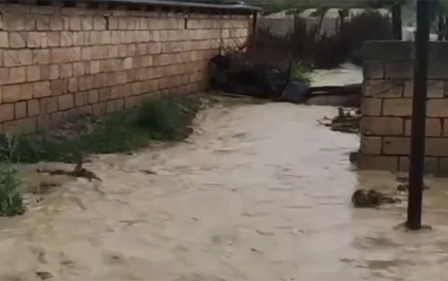 Hacıqabulda kəndlərə sel gəldi, evləri su basdı