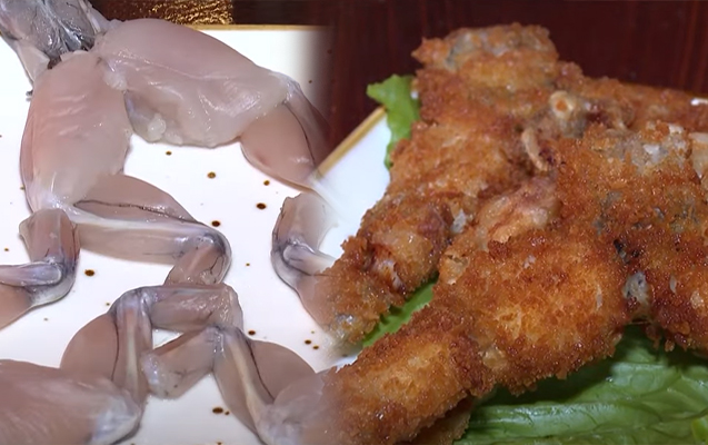 Bakıda məşhurlaşan qurbağa əti