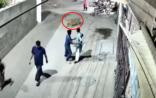 Pakistanda şir qadına və iki uşağa hücum etdi