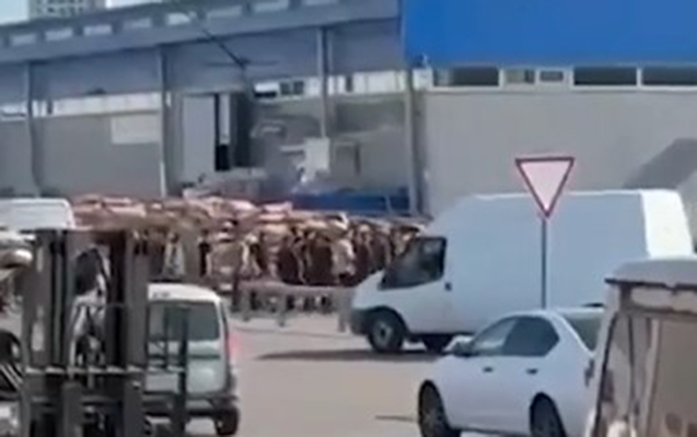 Moskva bazarında azərbaycanlılar saxlanılıb