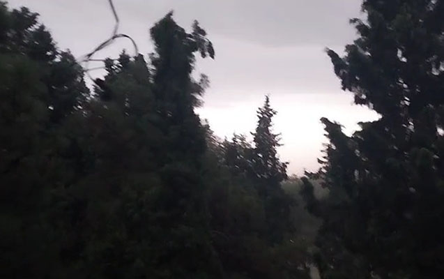 İyulun ortasında Qazax...