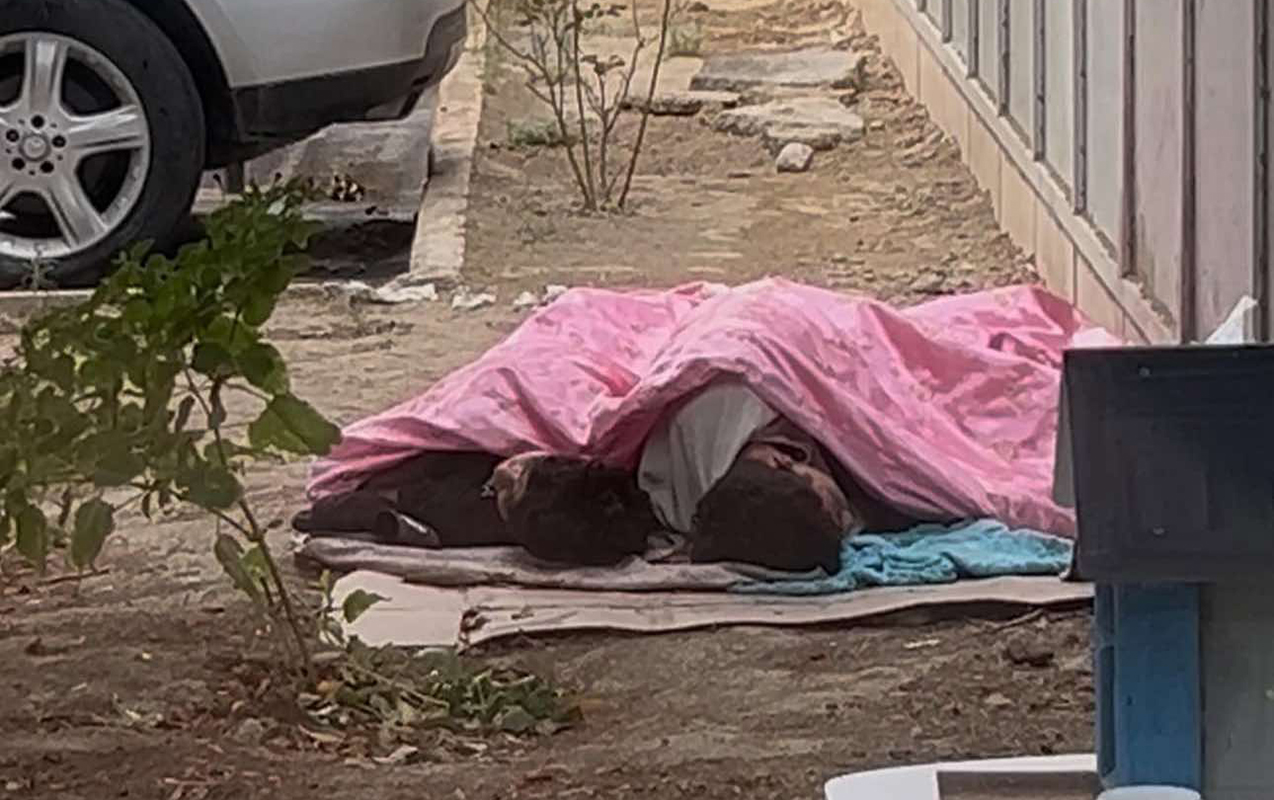 Küçədə gecələyən uşaqlar ailələrinə təhvil verildi