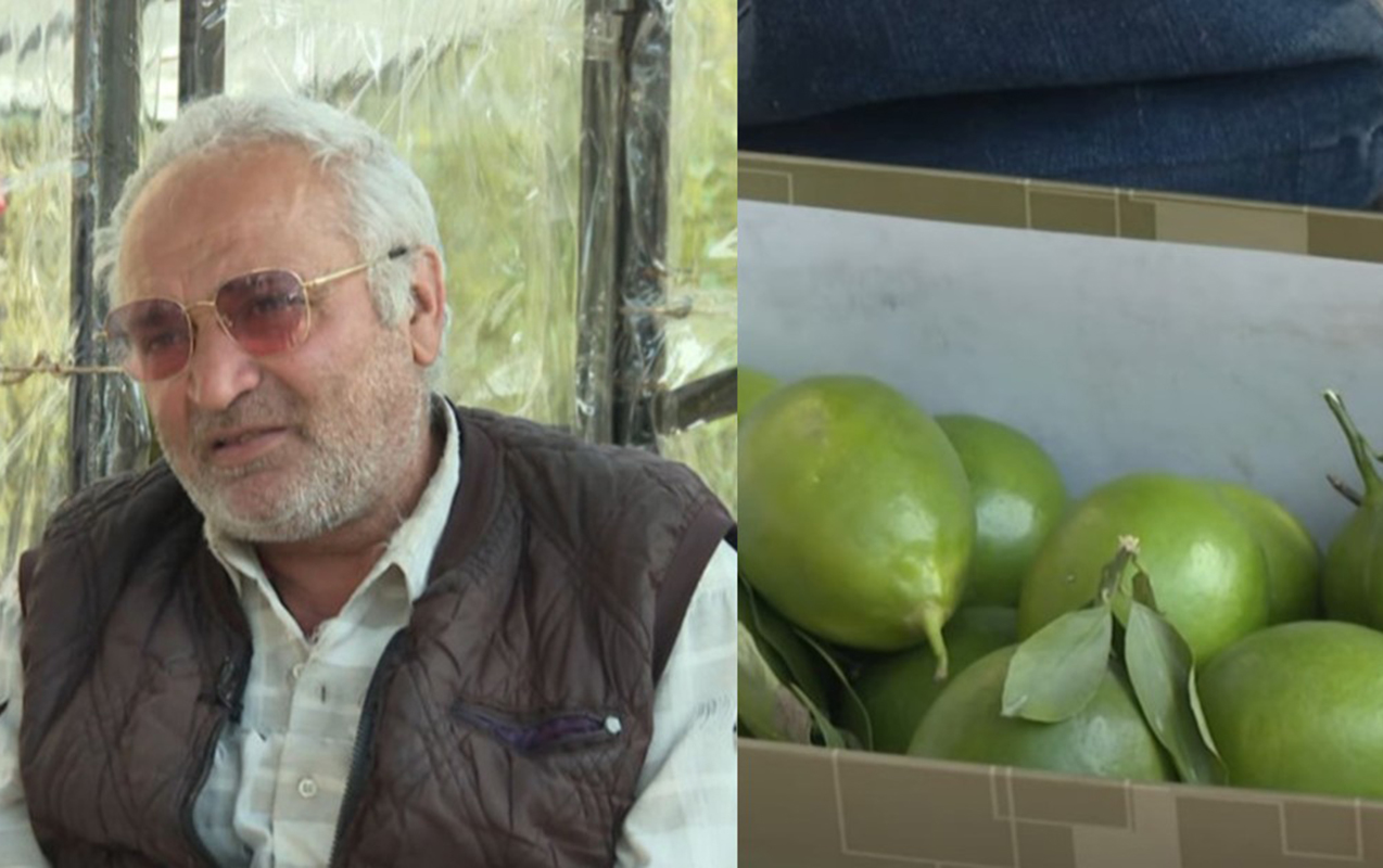 Limon satır, hesabında milyonu var