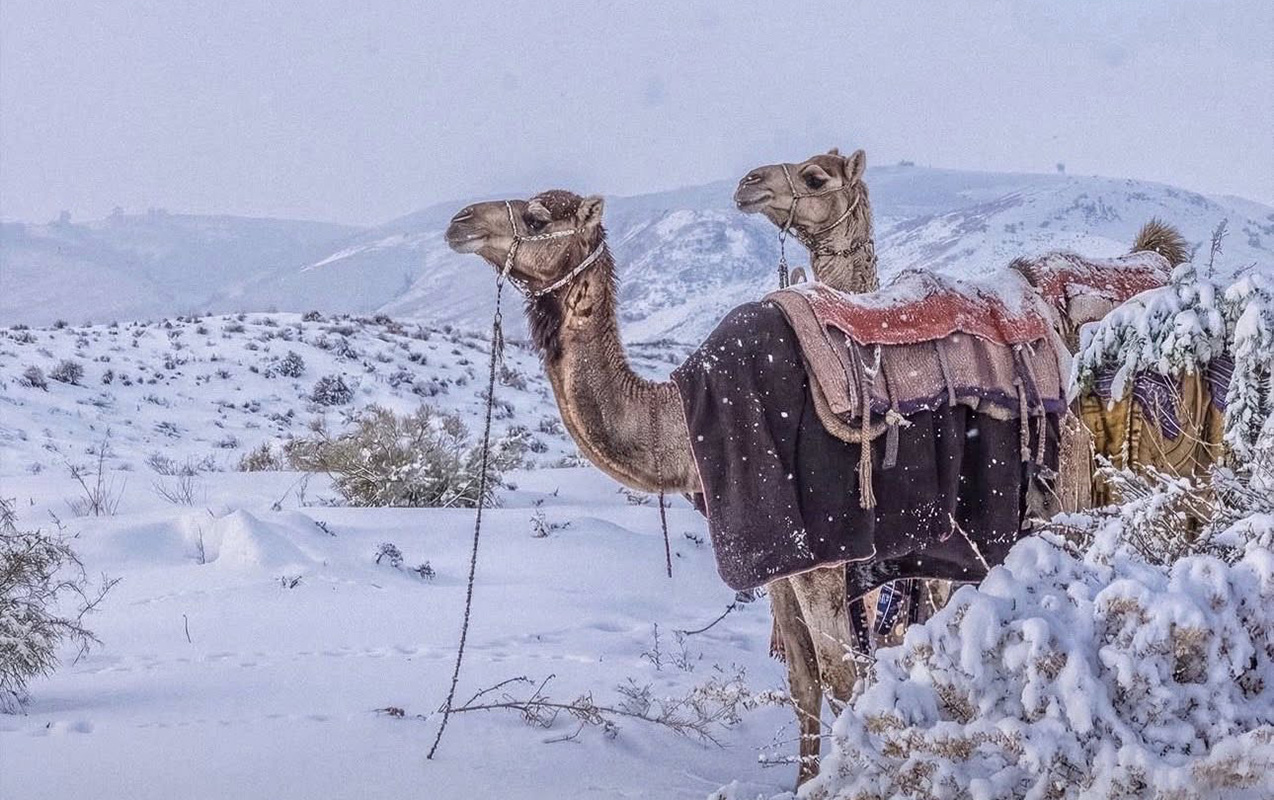 Səhrada 30 ildən sonra ilk qar...