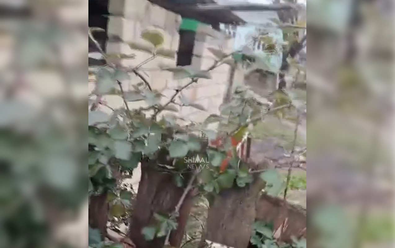 Ev sahibini öldürüb üstündə it damı tikdi