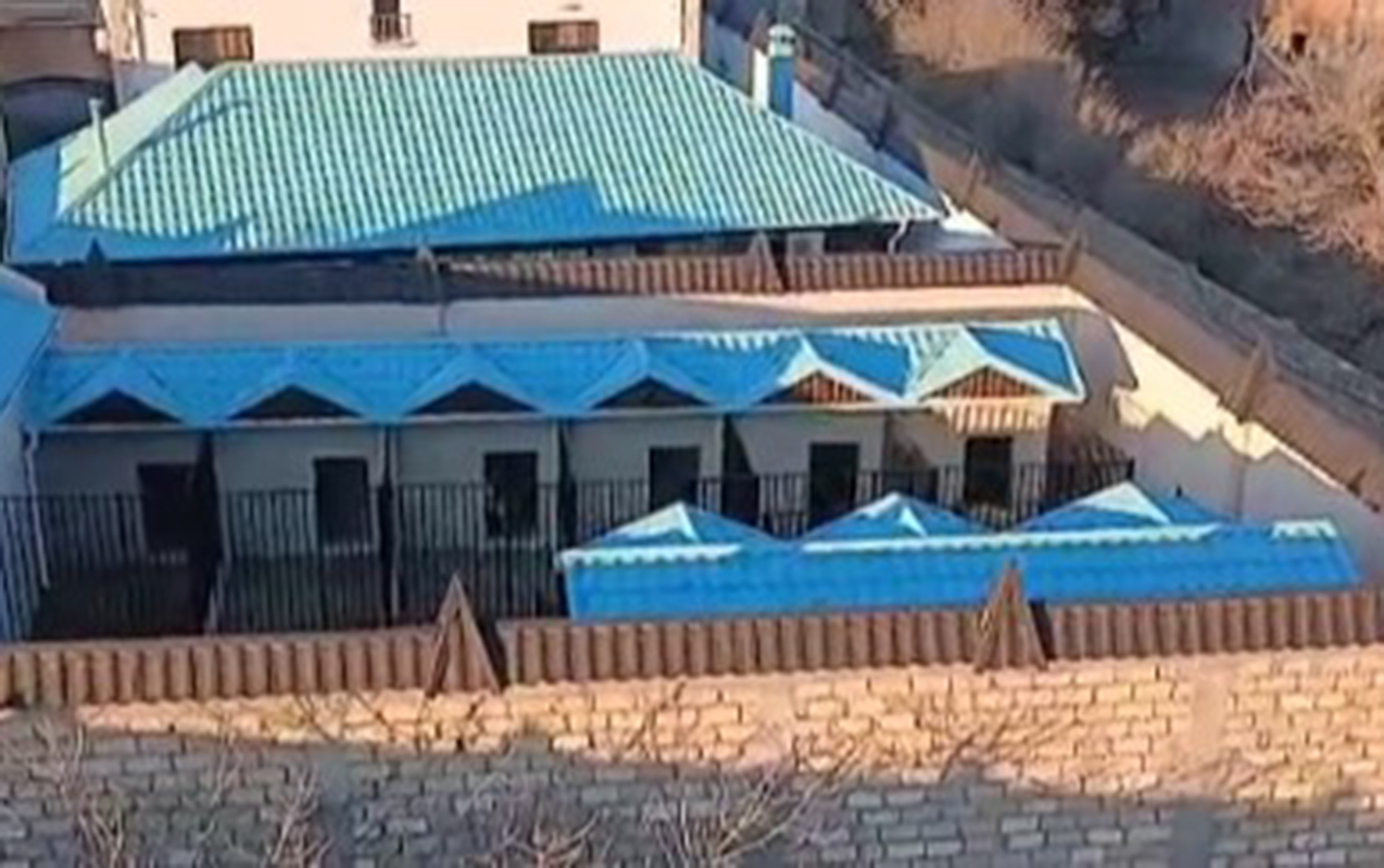 vezifeli-sexsin-saxladigi-atlar-ve-itler-bizi-yasamaga-qoymur